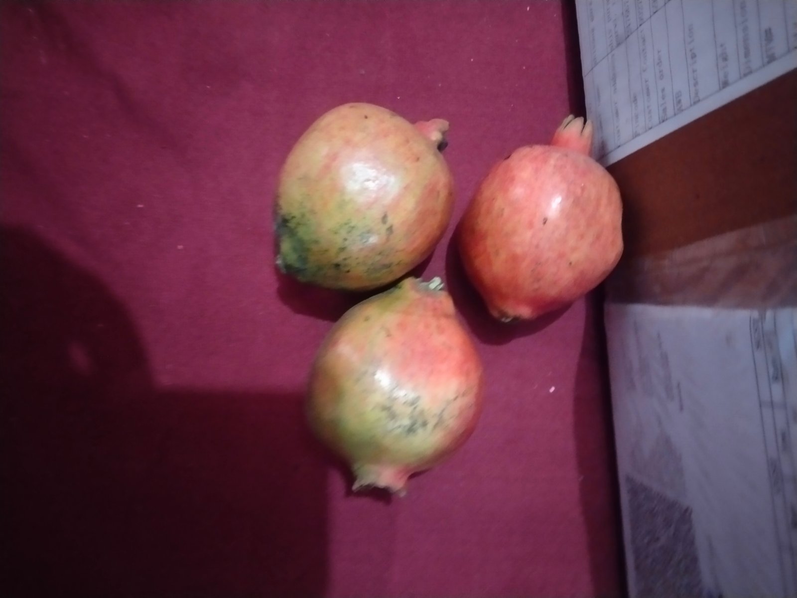 Ganga fruits